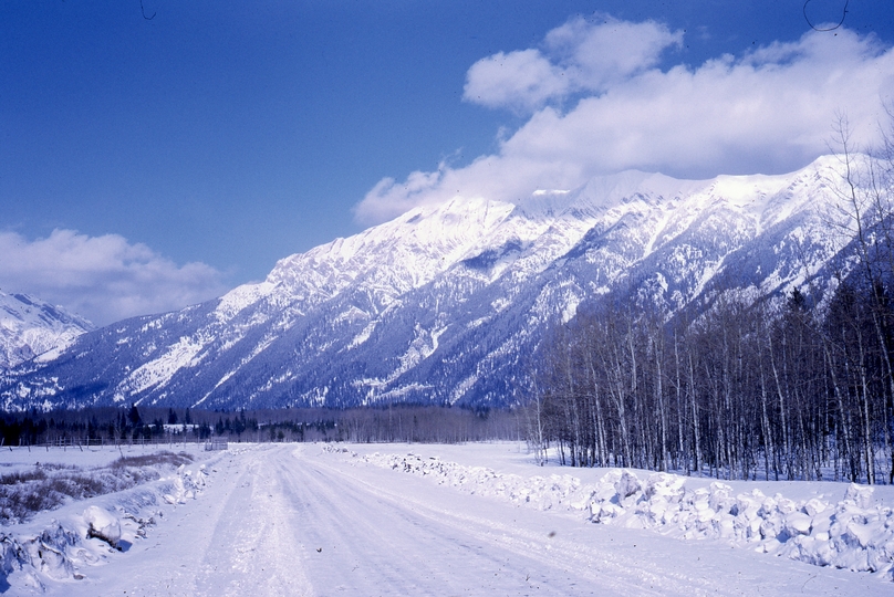 401268: Crowsnest Industries Road North of Natal BC Canada Witukitsak Range