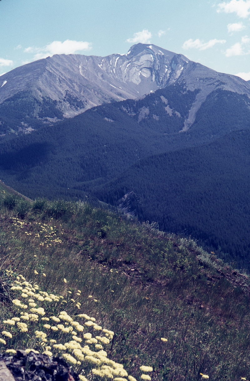 401299: Hill near CPR Survey Camp Fording River BC Canada looking East along Ewin Creek towards Mountains