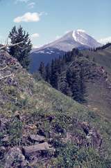 401300: Top of hill near CPR Survey Camp Fording River BC Canada looking East towards mountain