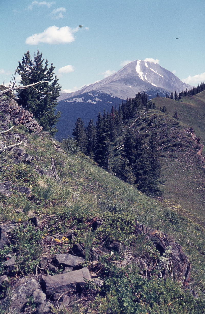 401301: Top of hill near CPR Survey Camp Fording River BC Canada looking East towards mountain