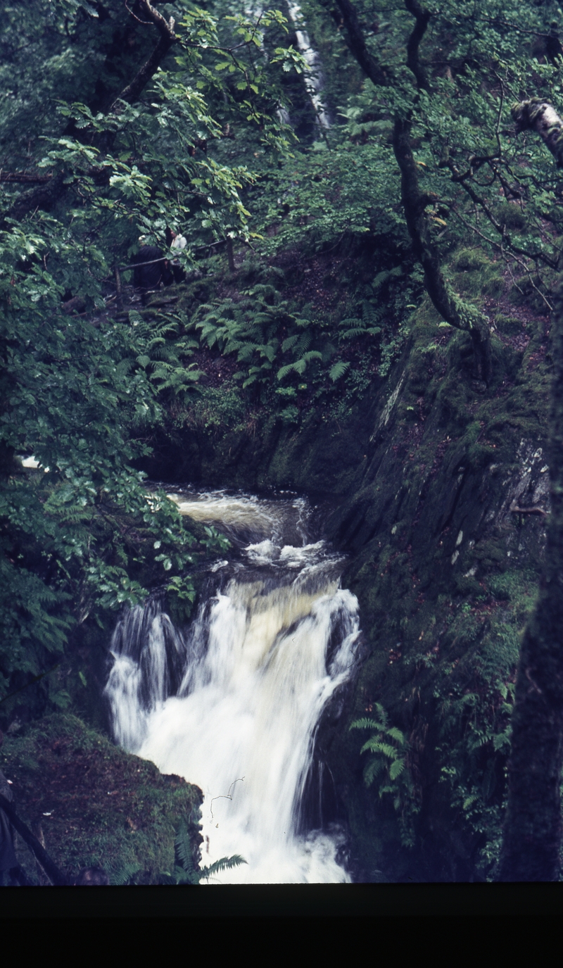 401376: Dolgoch Merionethshire Wales Dolgoch Falls
