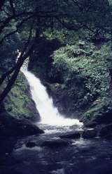 401377: Dolgoch Merionethshire Wales Dolgoch Falls