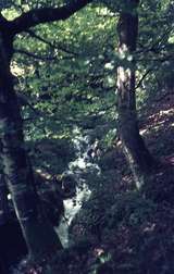401383: Tan Y Bwlch Merionethshire Wales Waterfall