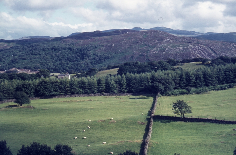 401388: Rural Scene viewed from Festiniog Railway Merionethshire Wales