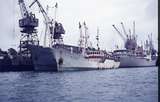 401506: Mombasa Kenya Vessel 'Shinzo No 8' and other vessels at berths in harbour