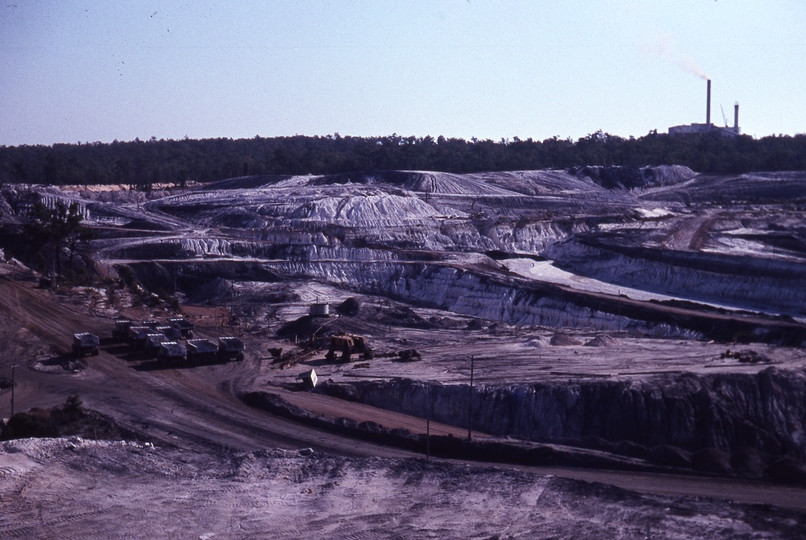 401536: Collie Western Australia Muja Opn Cut Photo Wendy Langford