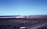 401557: Kalgoorlie Golden Mile Western Australia Mine waste dumps Photo Wendy Langford