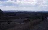 401594: Barossa Valley South Australia Photo Wendy Langford