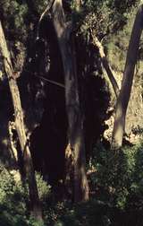 401613: Augusta Western Australia Entrance to Caves Photo Wendy Langford