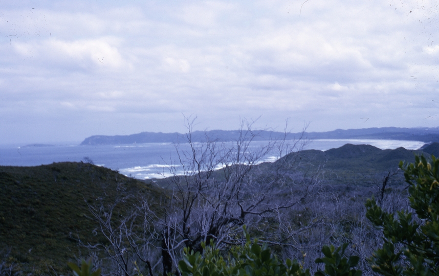 401631: Denmark Western Australia Coastline Photo Wendy Langford