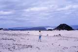 401634: Denmark Western Australia Petrified Forest Photo Wendy Langford