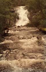 401636: Pemberton Western Australia Beedelup Falls Photo Wendy Langford