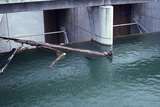 401659: Serpentine Dam Western Australia Radial Gates Photo Wendy Langford