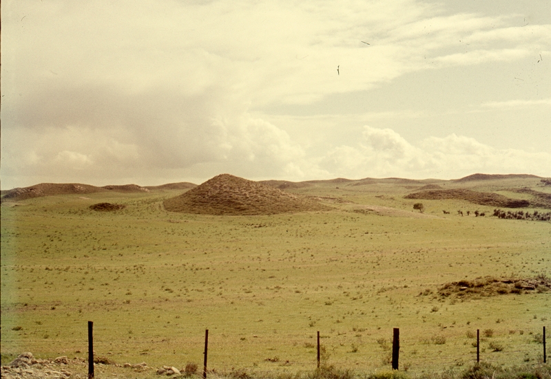 401670: Countryside near Yanchep Western Australia Photo Wendy Langford