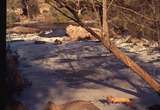 401677: Walyunga National Park Western Australia Avon River Photo Wendy Langford