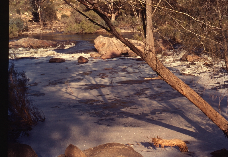 401677: Walyunga National Park Western Australia Avon River Photo Wendy Langford