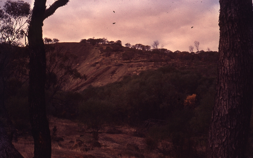 401706: Stirling Ranges Western Australia Photo Wendy Langford