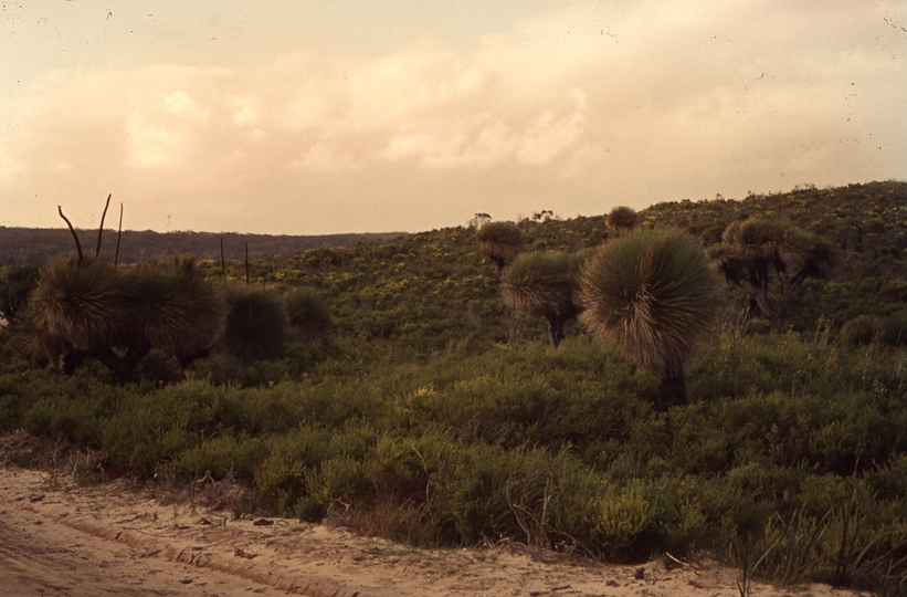 401712: South West of Perth Western Australia Roadside Scene Photo Wendy Langford