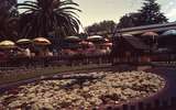 401719: Perth Western Australia Floral Clock at Kings Park Photo Wendy Langford