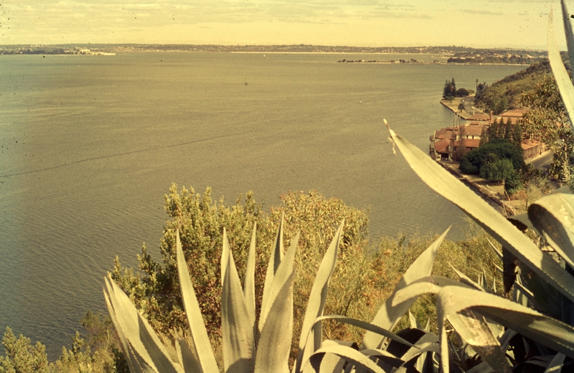 401722: Perth Western Australia Swan River looking downstream from Kings Park Swan Brewery at right Photo Wendy Langford