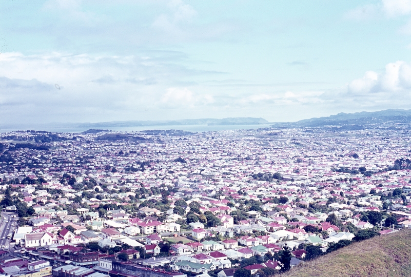 401773: Auckland New Zealand Suburbs viewed from Mount Eden Crater Photo Wendy Langford