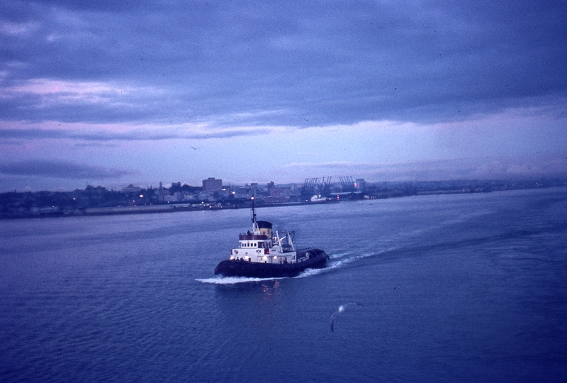 401775: Auckland New Zealand Tug on harbour Photo Wendy Langford