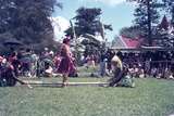 401782: Nuku'Alofa Tonga Dances on Malae Bamboo Dance Photo Wendy Langford