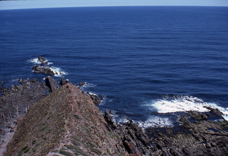 401810: Cape Liptrap Victoria looking South