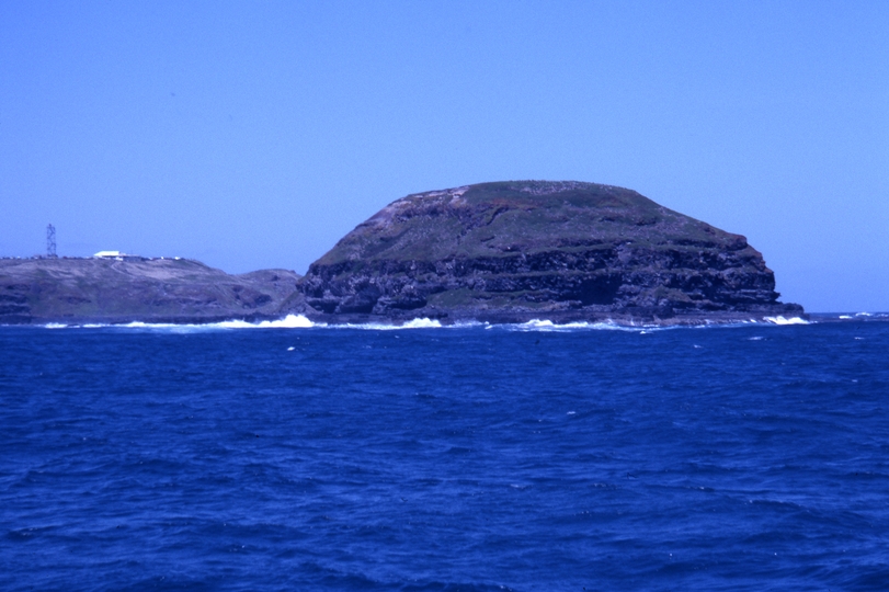 401818: Phillip Island Victoria The Nobbies