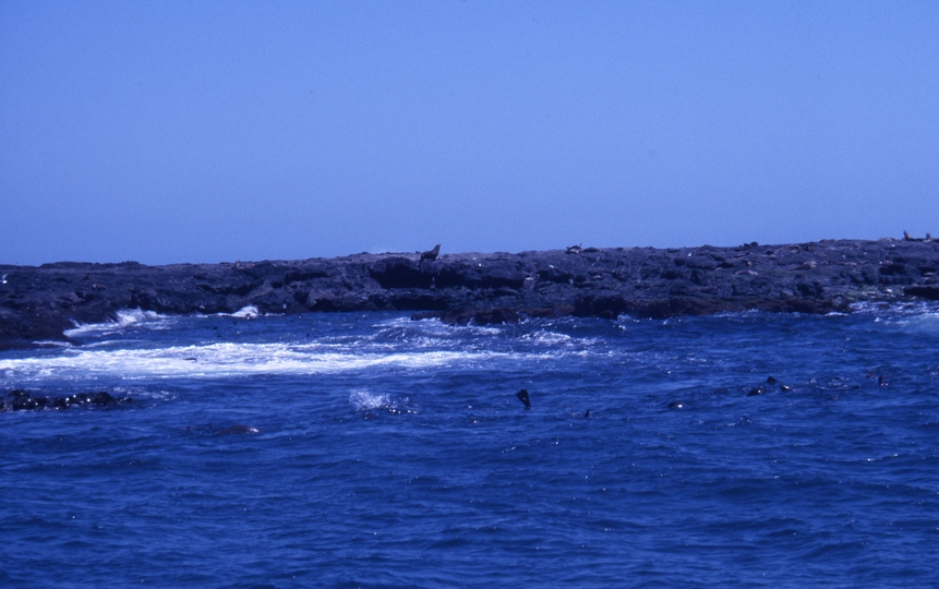 401820: Phillip Island Victoria Seal Rocks