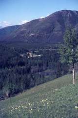 401827: CPR Survey Camp Fording River British Columbia Canada viewed from nearby hill